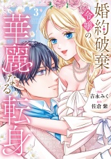 婚約破棄令嬢の華麗なる転身３ パッケージ画像