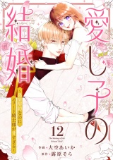 愛し子の結婚〜偽装契約なのにエリート騎士様が甘すぎる〜１２ パッケージ画像