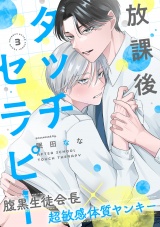 放課後タッチセラピー(3) パッケージ画像
