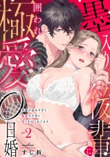 墨入り後輩に囲われ極愛0日婚〜男運が詰みすぎて執着ヤクザに契りを迫られてます〜(2) パッケージ画像表