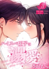 ハイスペ王子に溺愛されたら【電子単行本版】３ パッケージ画像