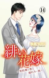 緋い花嫁～契約婚と彼と拗れた一族～14 パッケージ画像