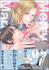 メリーマリーミー！ 【電子限定かきおろし漫画付】 パッケージ画像
