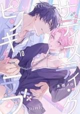 サディスティックピンキーラブ　act.10 パッケージ画像