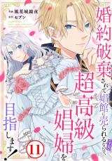 婚約破棄されて娼館に売られる（予定）なので、超高級娼婦を目指します！11 パッケージ画像