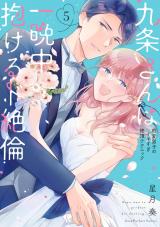 九条さんは一晩中抱けるド絶倫～豹変男子のイキすぎ絶頂テクニック【単行本版】（5）【電子限定描き下ろし漫画付き】 パッケージ画像
