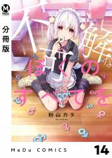【分冊版】不可解なぼくのすべてを 14 パッケージ画像
