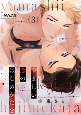 やましい恋のはじめかた2 3話 パッケージ画像