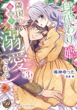 身代わり姫は隣国の勇猛王に溺愛される　3 パッケージ画像