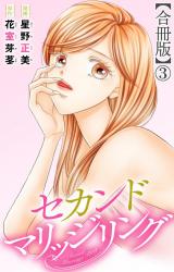 セカンドマリッジリング【合冊版】3 パッケージ画像