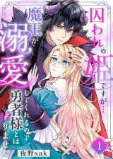 囚われの姫ですが…魔王が溺愛してくれるので、勇者様とは帰りません！1 パッケージ画像