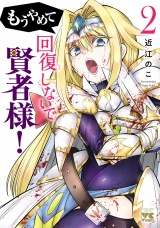 もうやめて回復しないで賢者様！【秋田書店版】　2 パッケージ画像