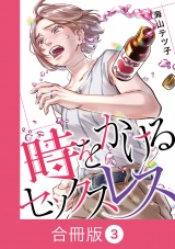【合冊版】時をかけるセックスレス（3） パッケージ画像