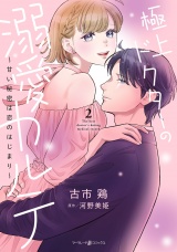極上ドクターの溺愛カルテ〜甘い秘密は恋のはじまり〜　2 パッケージ画像