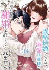 【分冊版】政略結婚のはずが、溺愛旦那様がご執心すぎて離婚を許してくれません34話 パッケージ画像