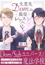 生意気Domの服従レッスン(4) パッケージ画像