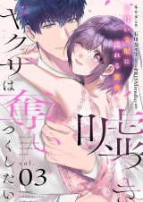 嘘つきヤクザは奪いつくしたい〜甘い支配に濡れる蜜夜【描き下ろしおまけ付き特装版】 3 パッケージ画像
