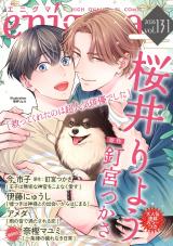 enigma vol．131 パッケージ画像