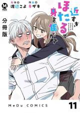 【分冊版】近すぎほたるで身を焦がす 11 パッケージ画像