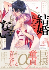 結婚なんてしてあげない《R18版》 パッケージ画像