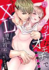 【スパイシーレディ】今日もXL持ちの上司にエッチなオモチャでイカされてます！ (12) パッケージ画像表