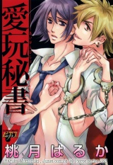 愛玩秘書 パッケージ画像