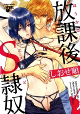 放課後S隷奴 パッケージ画像