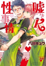嘘つきKの性事情 パッケージ画像