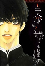 美少年 パッケージ画像