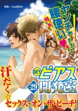 BOY'Sピアス開発室vol.29　ヤンチャすぎる腰使い パッケージ画像