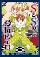 SとSの愛玩ピエロ2 パッケージ画像