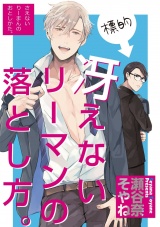 冴えないリーマンの落とし方。 パッケージ画像
