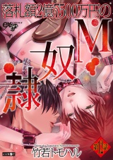 落札額2億7500万円のM奴隷 第12話 パッケージ画像