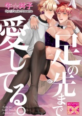 足の先まで愛してる。 パッケージ画像