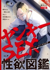 ヤンキーSEX性欲図鑑 パッケージ画像