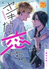 ヤンキーだって恋するし！ パッケージ画像