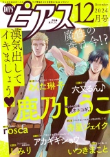 BOY'Sピアス 2024年12月号 パッケージ画像