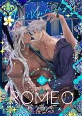 DragoStarPlayer ROMEO 12 パッケージ画像