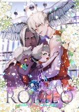DragoStarPlayer ROMEO 13 パッケージ画像