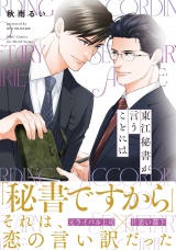 東江秘書が言うことには パッケージ画像表