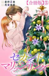 セカンドマリッジリング【合冊版】5 パッケージ画像