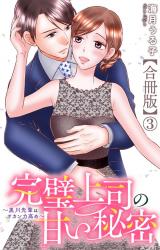 完璧上司の甘い秘密～黒川先輩はオカン力高め～【合冊版】3 パッケージ画像