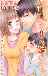 終わった恋の始めかた 産めない私が堕ちる恋 【合冊版】3 パッケージ画像