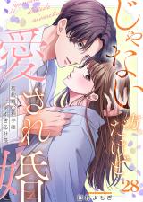 じゃない方、だけど愛され婚～契約婚の相手は一途すぎる社長28 パッケージ画像