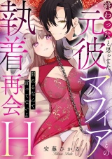 終わったと思ってた元彼マフィアとの執着再会H〜別れるなんて言ってないよ〜 パッケージ画像