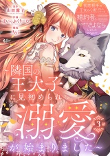 初恋相手の王女の心配ばかりしている婚約者と、スッキリさよならしました 〜隣国の王太子に見初められ溺愛が始まりました〜(話売り)　#3 パッケージ画像