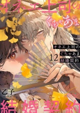オネエ上司のぐちゃあま結婚契約 12 パッケージ画像