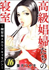 高級娼婦たちの寝室 〜闇聖母スカウトキャラバン〜 （16） パッケージ画像
