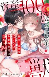 資産100億スパダリ和装御曹司は腹黒い獣～イジワルな指遣いから感じる圧倒的快感～【合冊版】1 パッケージ画像