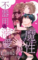魔性の色男の不器用な溺愛【合冊版】5 パッケージ画像